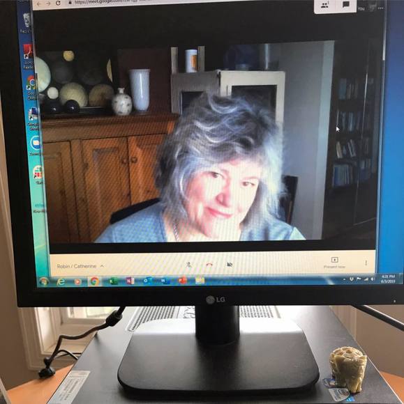 Meet your Posher, Robin - Picture 1 of 1